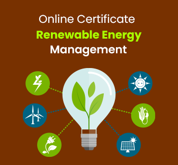 Professional (Online) Certificate Renewable Energy 2023