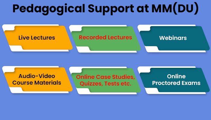 Pedagogical Support at MM(DU)