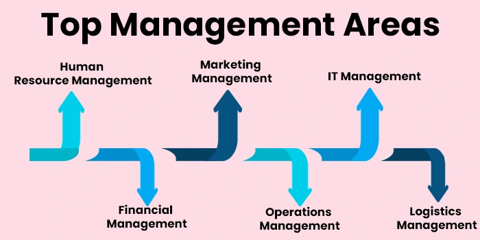 Top Management Areas