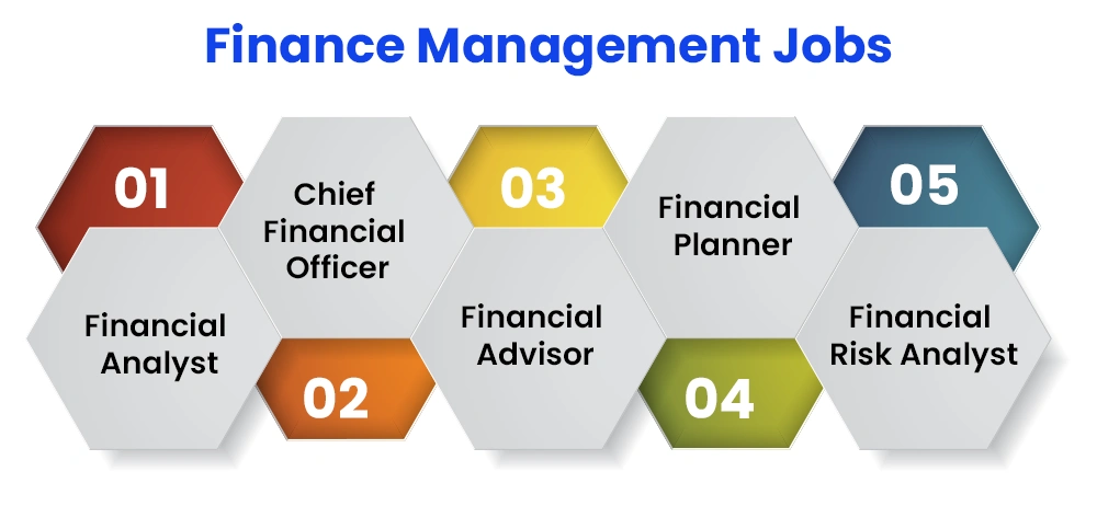Finance Management Jobs.webp